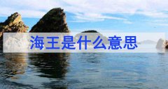 海王是什么意思（海王释义）