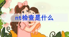 nt检查是什么 nt检查是什么时候做